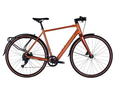 Raleigh Trace Copper