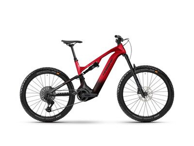 Haibike ALLMTN CF 9